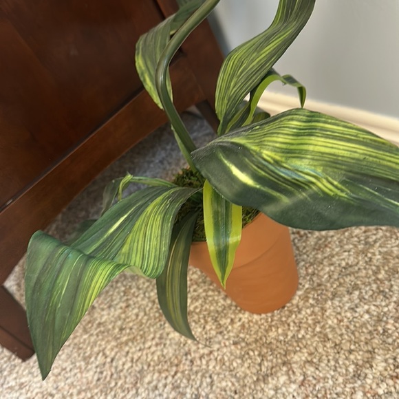 Plant sculpture - Picture 3 of 3